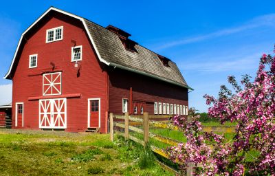 Red And White Barn Painting - Barn Painting North Attleboro, Massachusetts